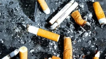 انفراجة مرتقبة.. استقرار معروض التبغ وسلاسل الإمداد ينهي نقص السجائر عام 2026